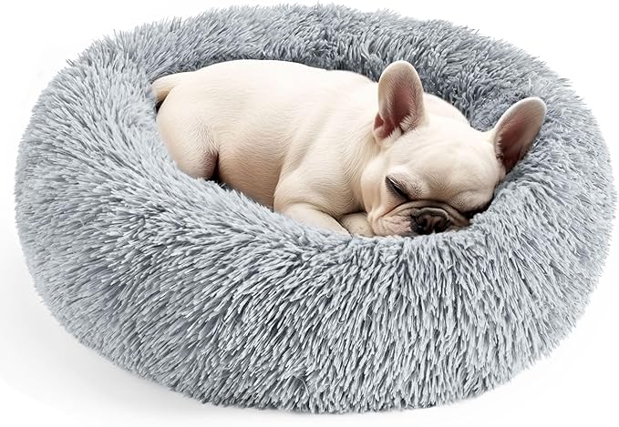 Dog & Cat Bed