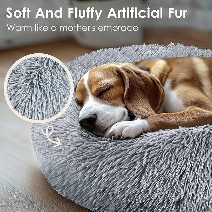 Dog & Cat Bed